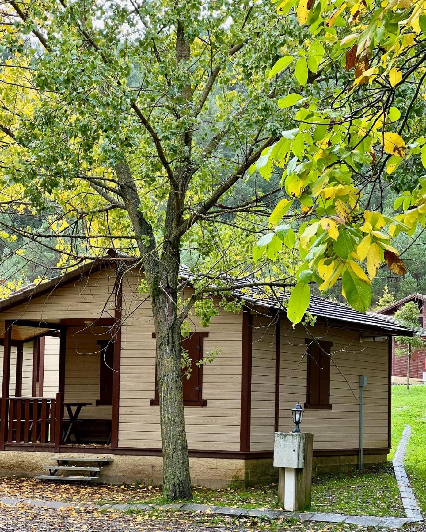 Camping Valle De Hecho Exteriér fotografie