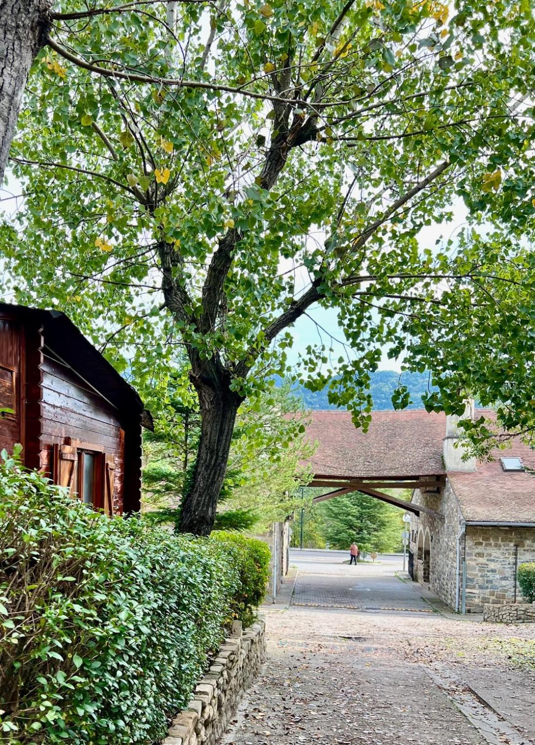 Camping Valle De Hecho Exteriér fotografie